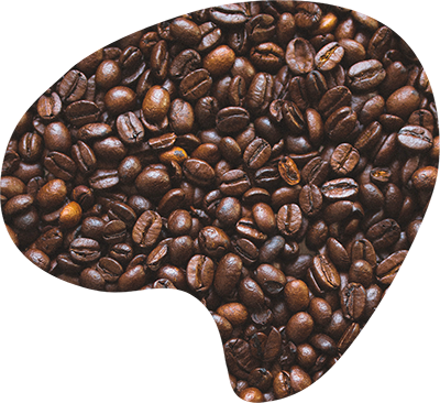 Café en grano puro arábica 500g - E.leclerc Soria