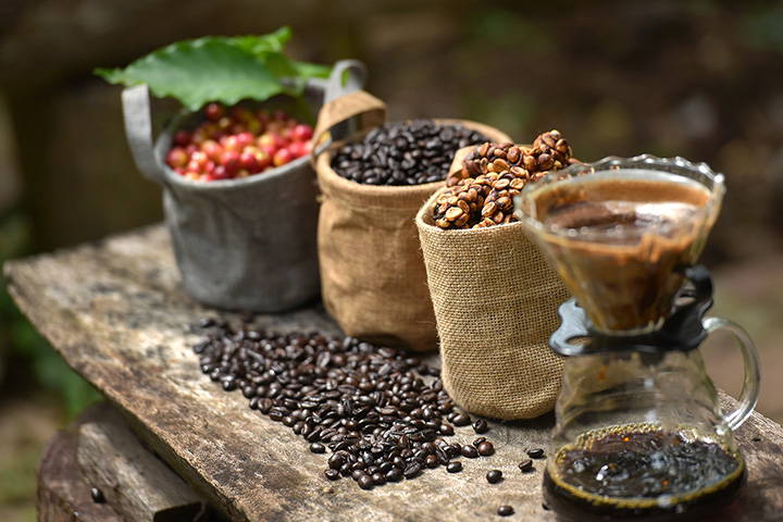 Diferentes estados del grano de café